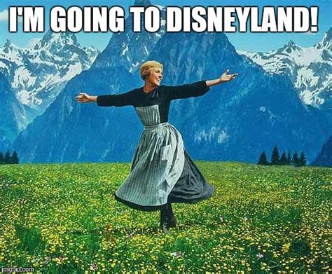 going to disneyland meme